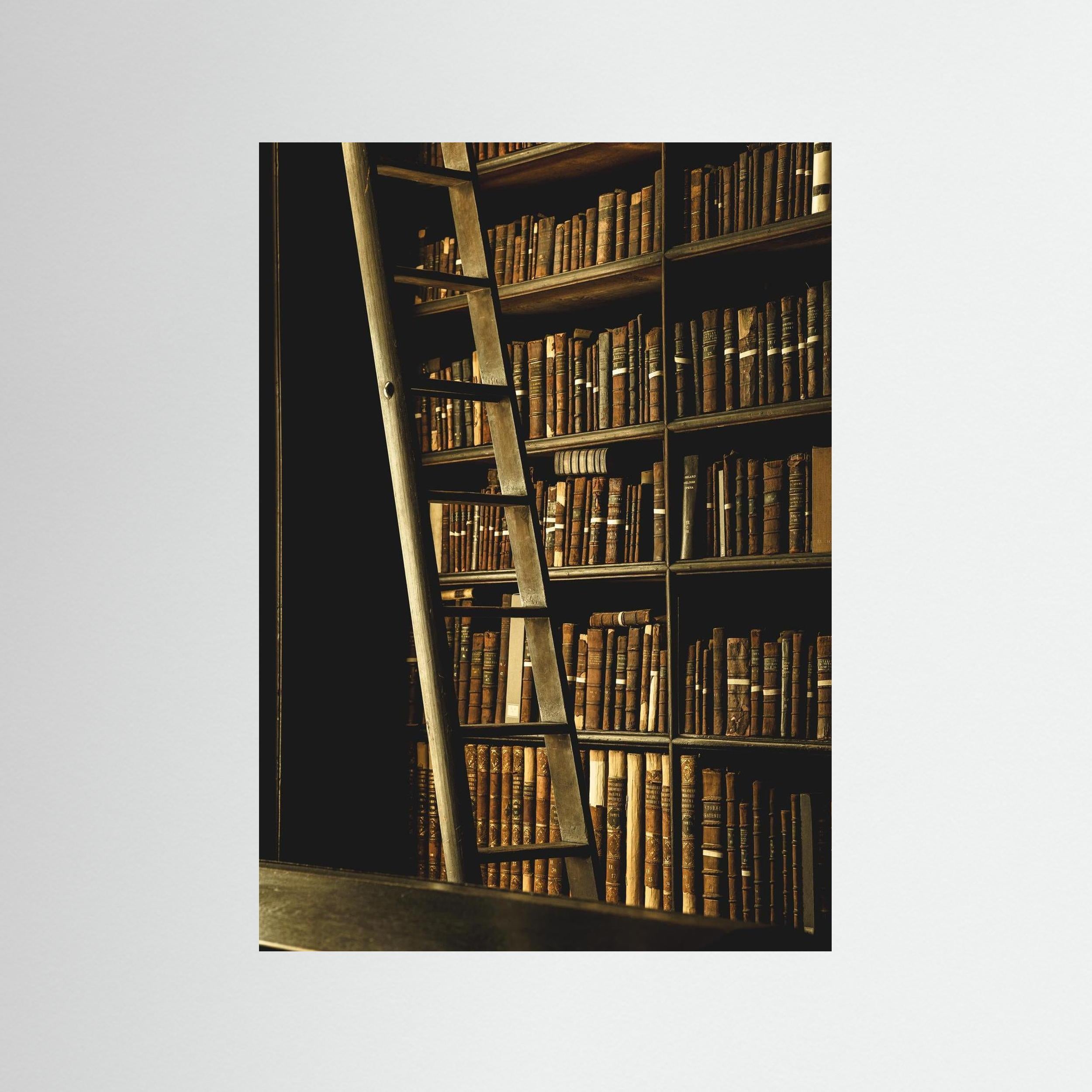 The Scholar’s Ladder