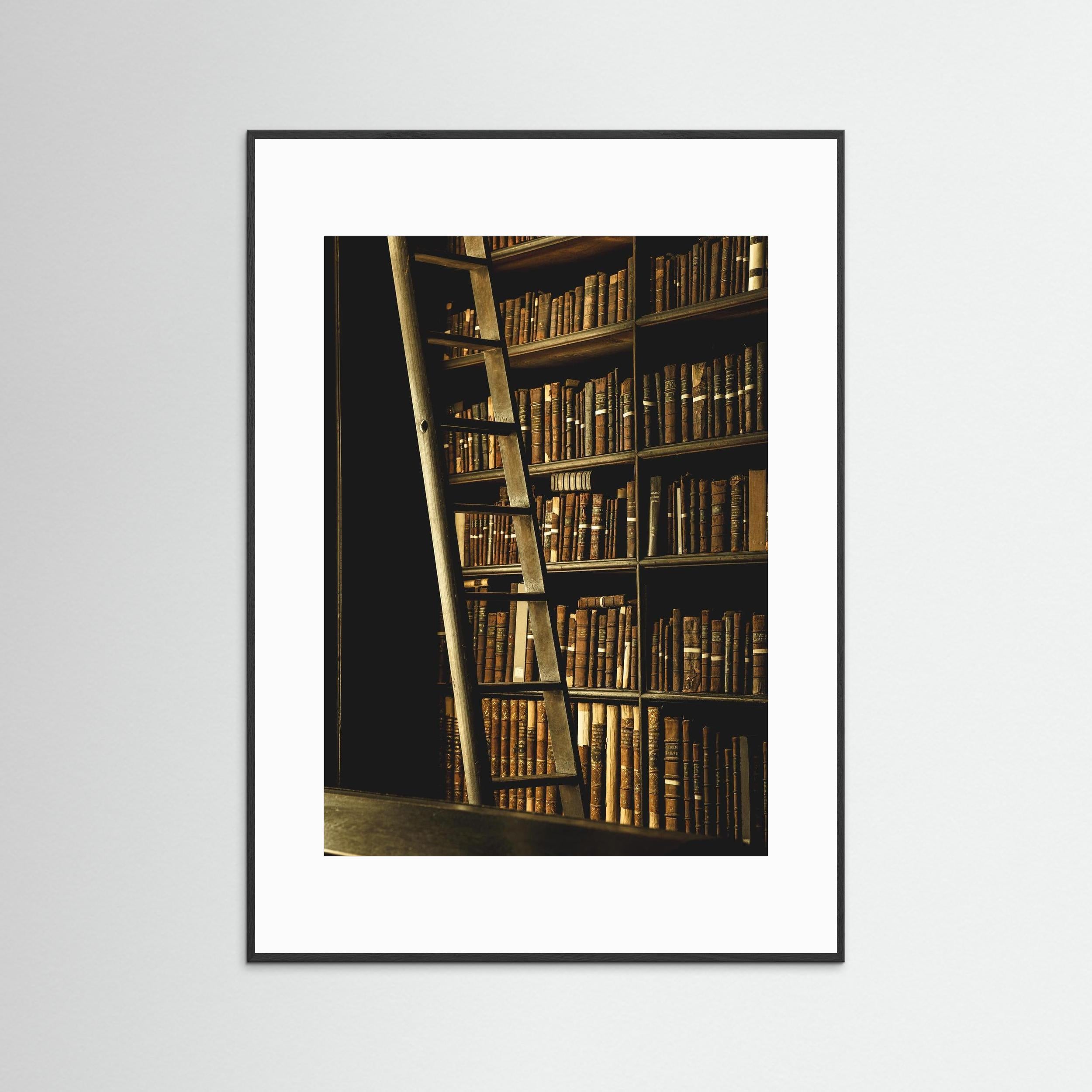 The Scholar’s Ladder