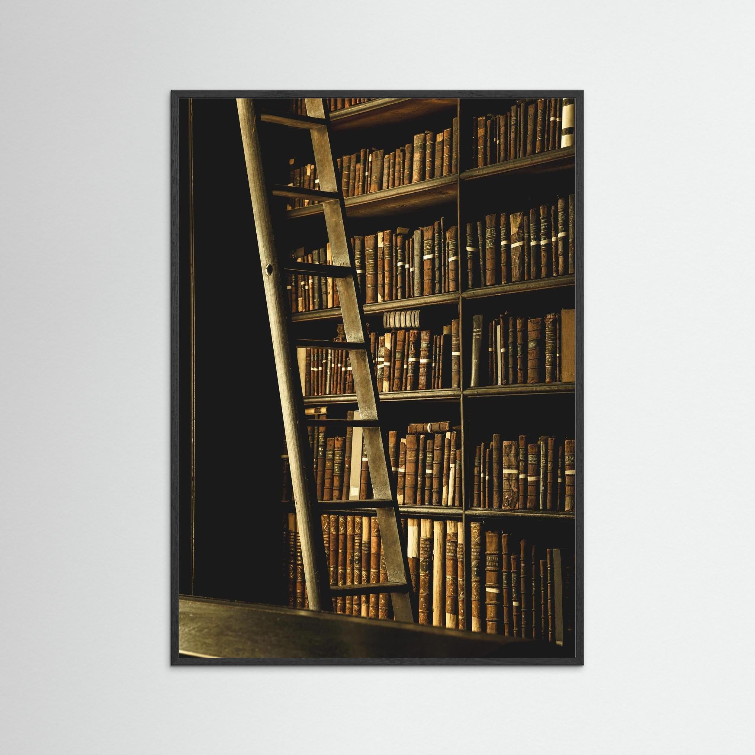 The Scholar’s Ladder